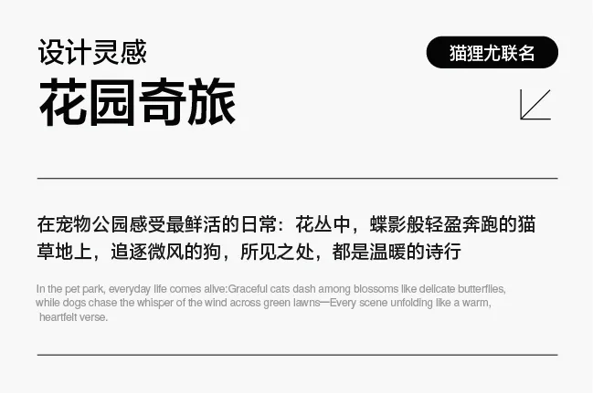 作者介绍
